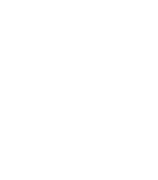 Zebra Parking logo